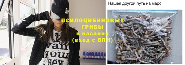 герыч Алексин